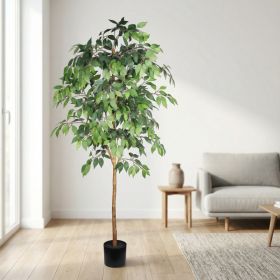6FT Artificial Ficus Tree with Natural Trunk in Black Plastic Pot for Indoor Home Office Decor, 1pc/set (Option: Green Leaves)